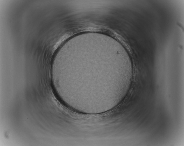 X0000102340011200808221641