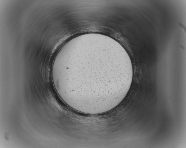 X0000102340012200808221641