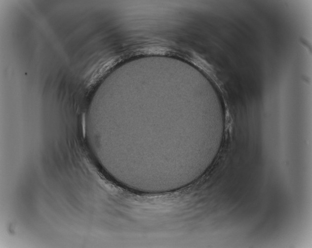 X0000102340013200808221641