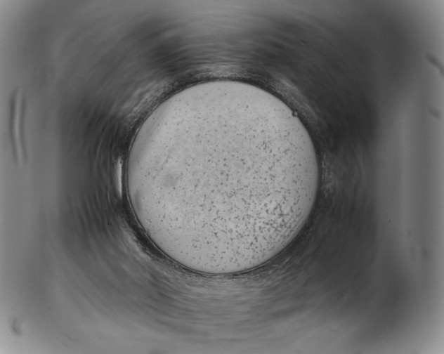 X0000102340014200808221641