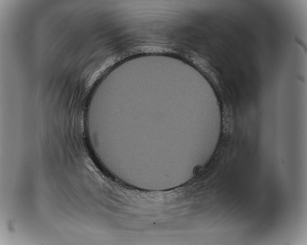 X0000102340015200808221641