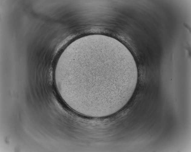 X0000102340016200808221641