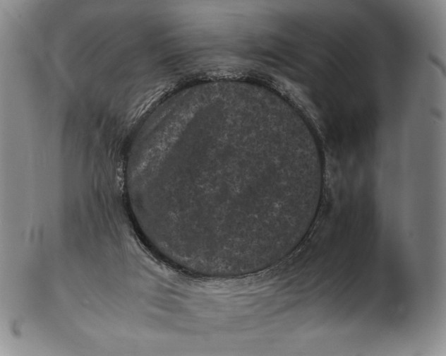 X0000102340017200808221641