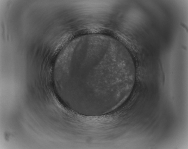 X0000102340018200808221641