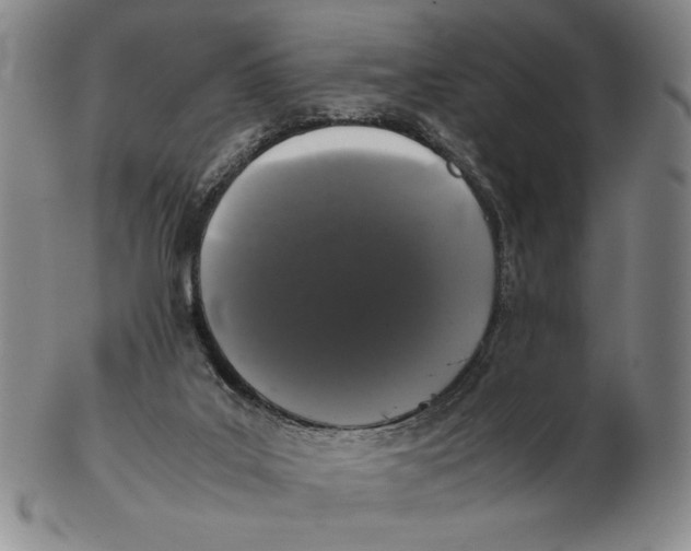 X0000102340019200808221641