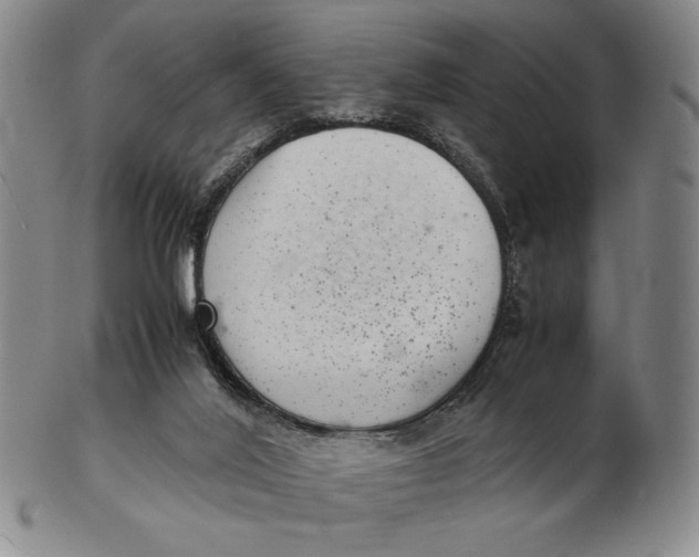 X0000102340020200808221641