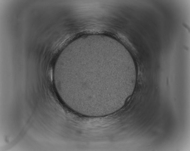 X0000102340021200808221641