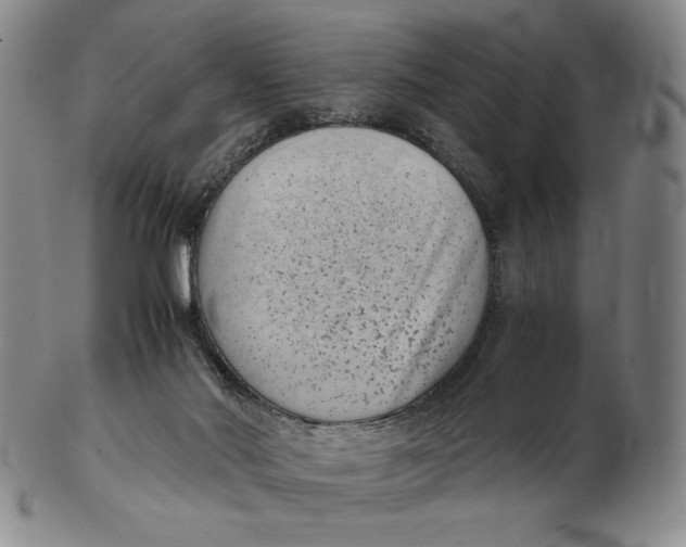 X0000102340022200808221641