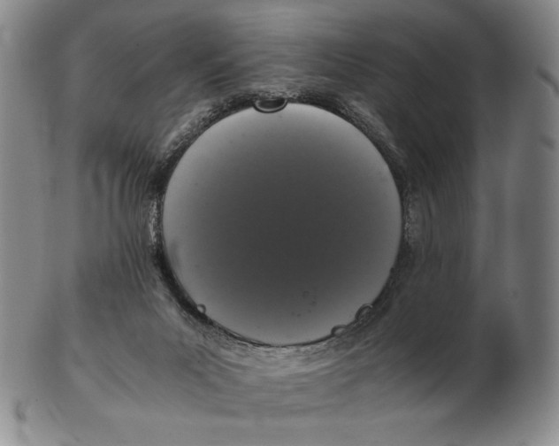 X0000102340023200808221641