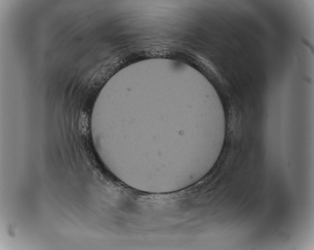 X0000102340025200808221641