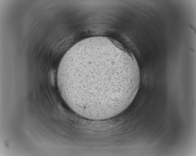 X0000102340026200808221641