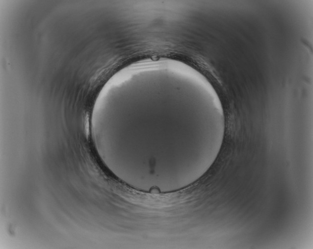 X0000102340027200808221641