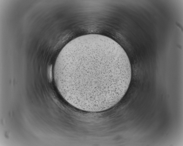 X0000102340028200808221641