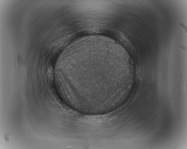 X0000102340029200808221641