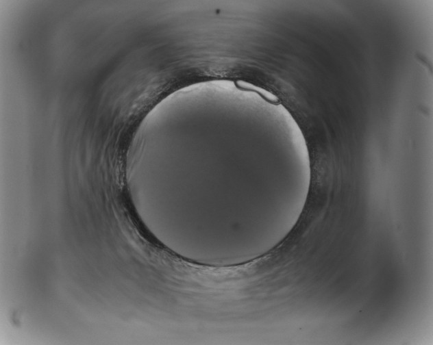 X0000102340031200808221641