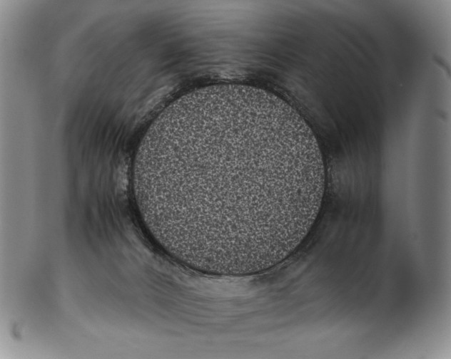 X0000102340032200808221641