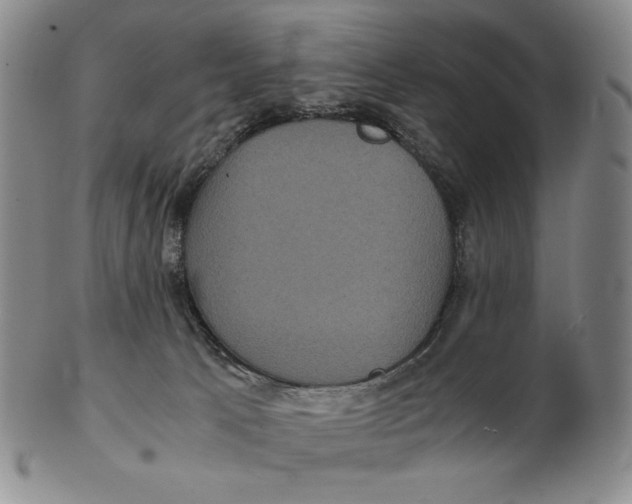 X0000102340033200808221641