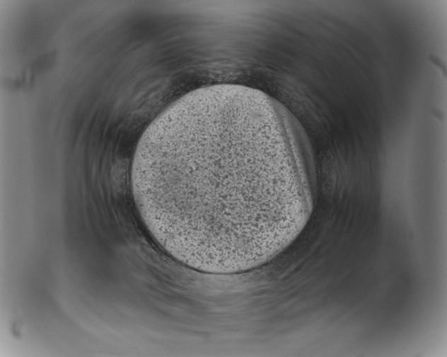 X0000102340034200808221641