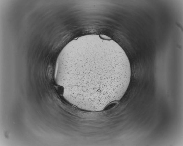 X0000102340036200808221641