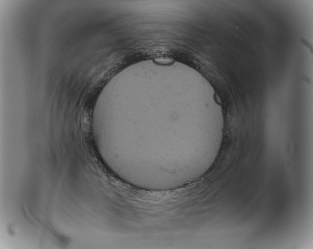 X0000102340037200808221641