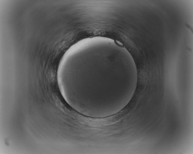 X0000102340039200808221641