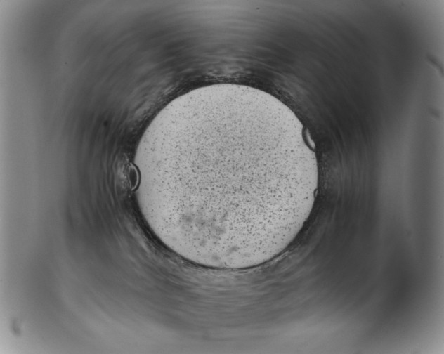 X0000102340040200808221641