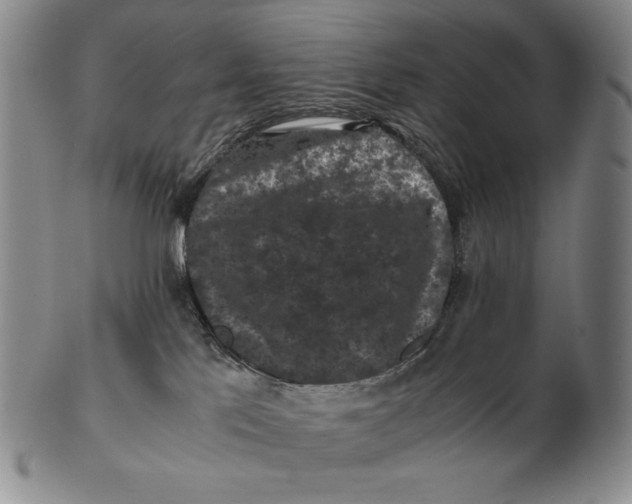 X0000102340041200808221641