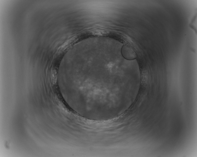 X0000102340043200808221641