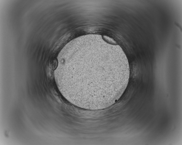 X0000102340044200808221641