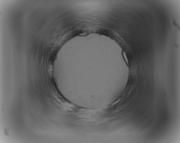 X0000102340045200808221641