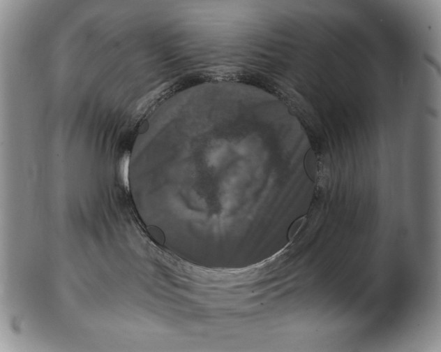 X0000102340047200808221641