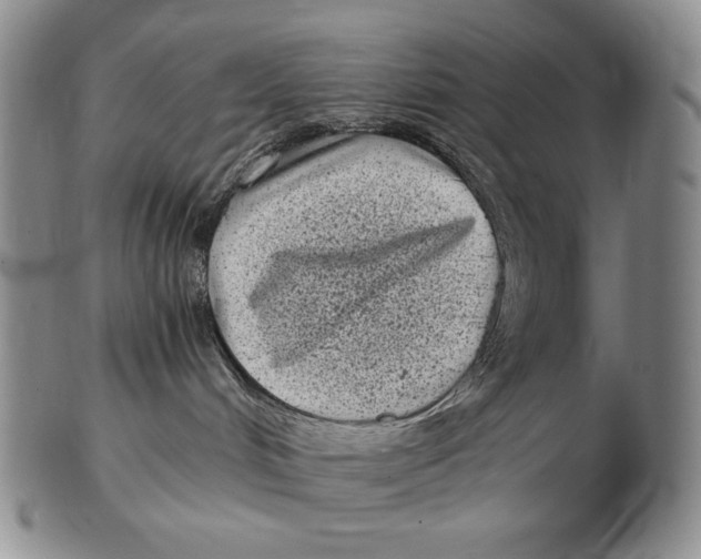 X0000102340048200808221641