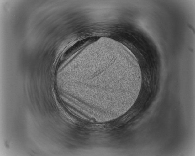 X0000102340049200808221640