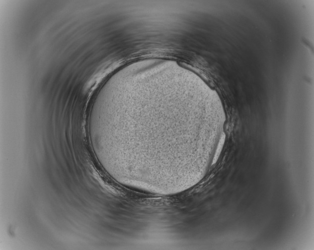 X0000102340050200808221640