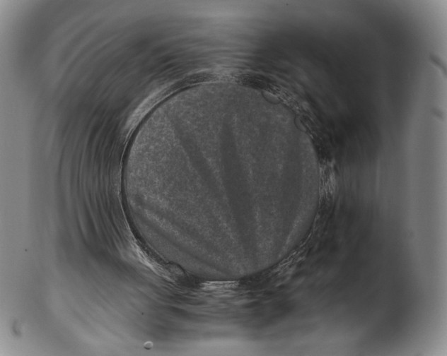 X0000102340051200808221640