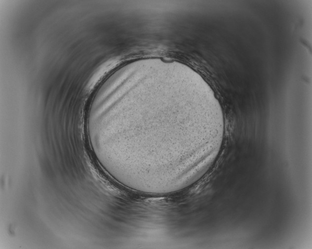 X0000102340054200808221640