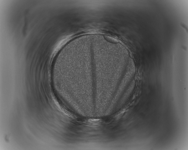 X0000102340055200808221640