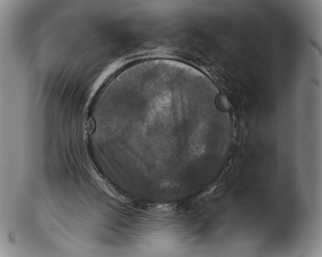 X0000102340056200808221640