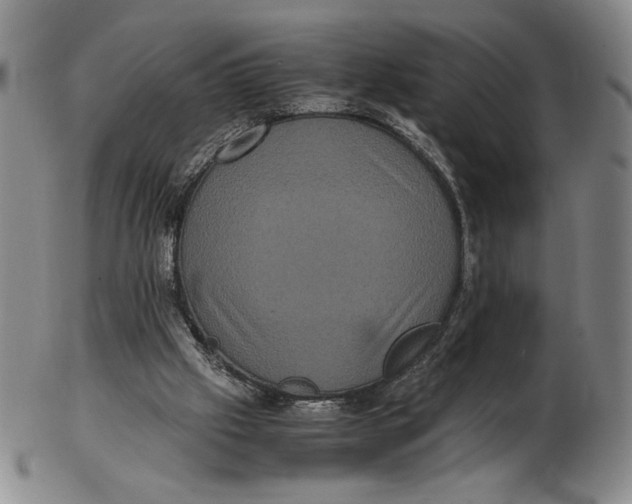 X0000102340057200808221640