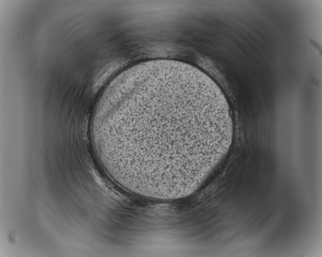 X0000102340058200808221640