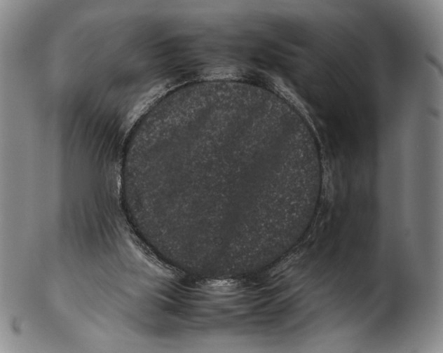 X0000102340059200808221640