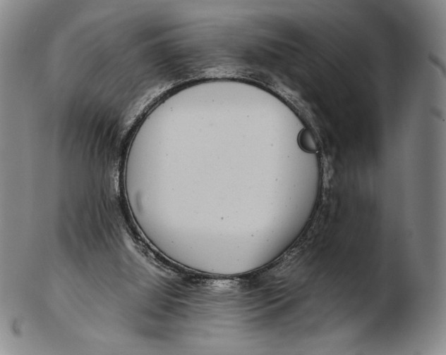 X0000102340060200808221640