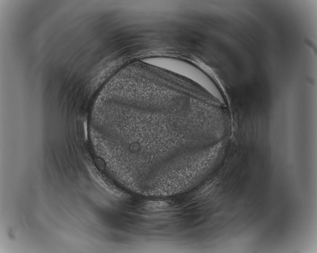 X0000102340061200808221640