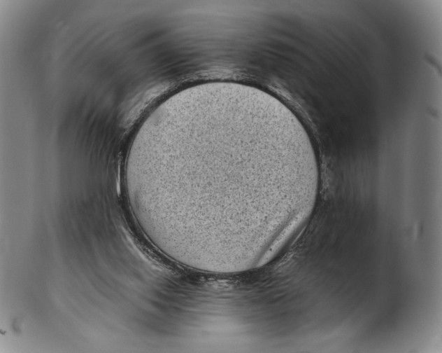 X0000102340062200808221640