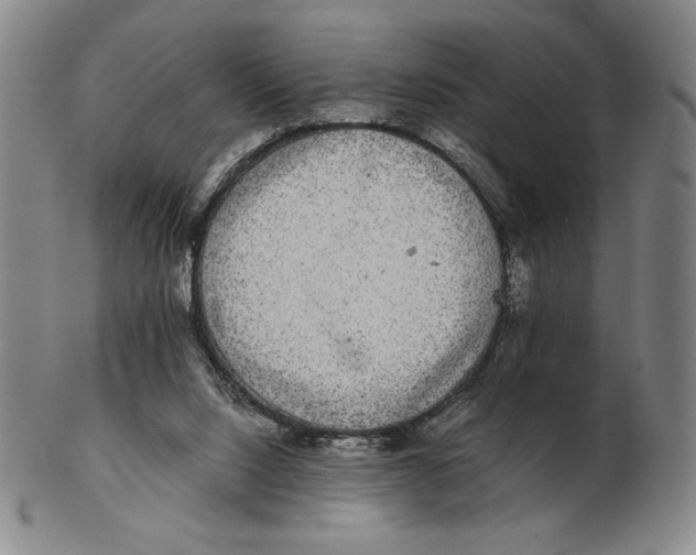 X0000102340064200808221640