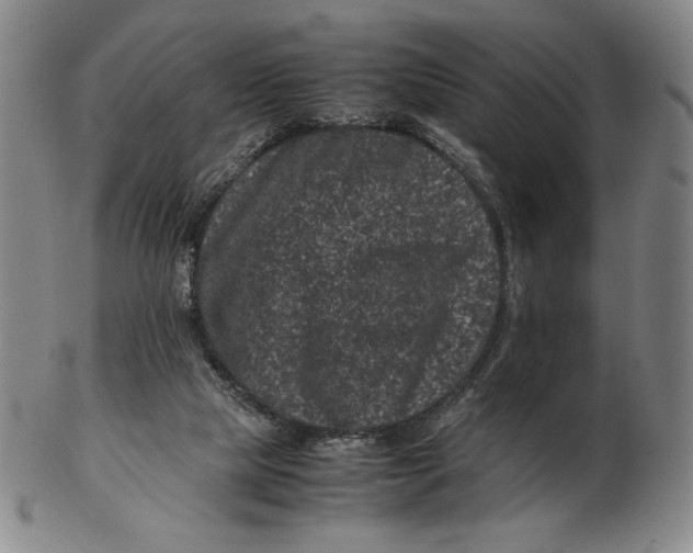 X0000102340065200808221640