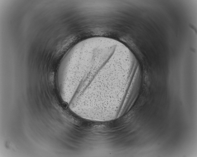 X0000102340066200808221640