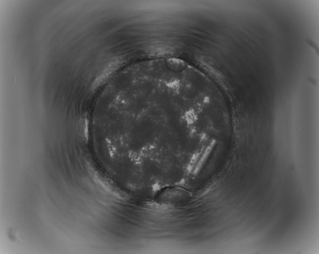 X0000102340067200808221640