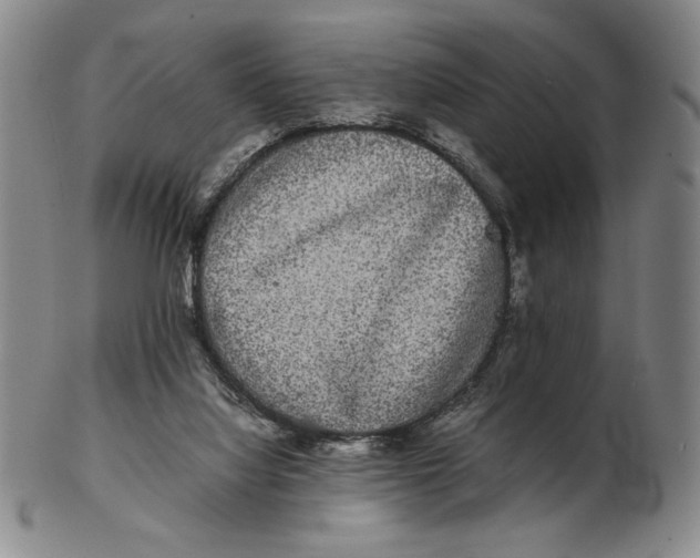 X0000102340068200808221640