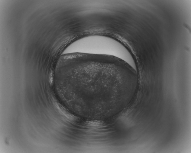 X0000102340069200808221640